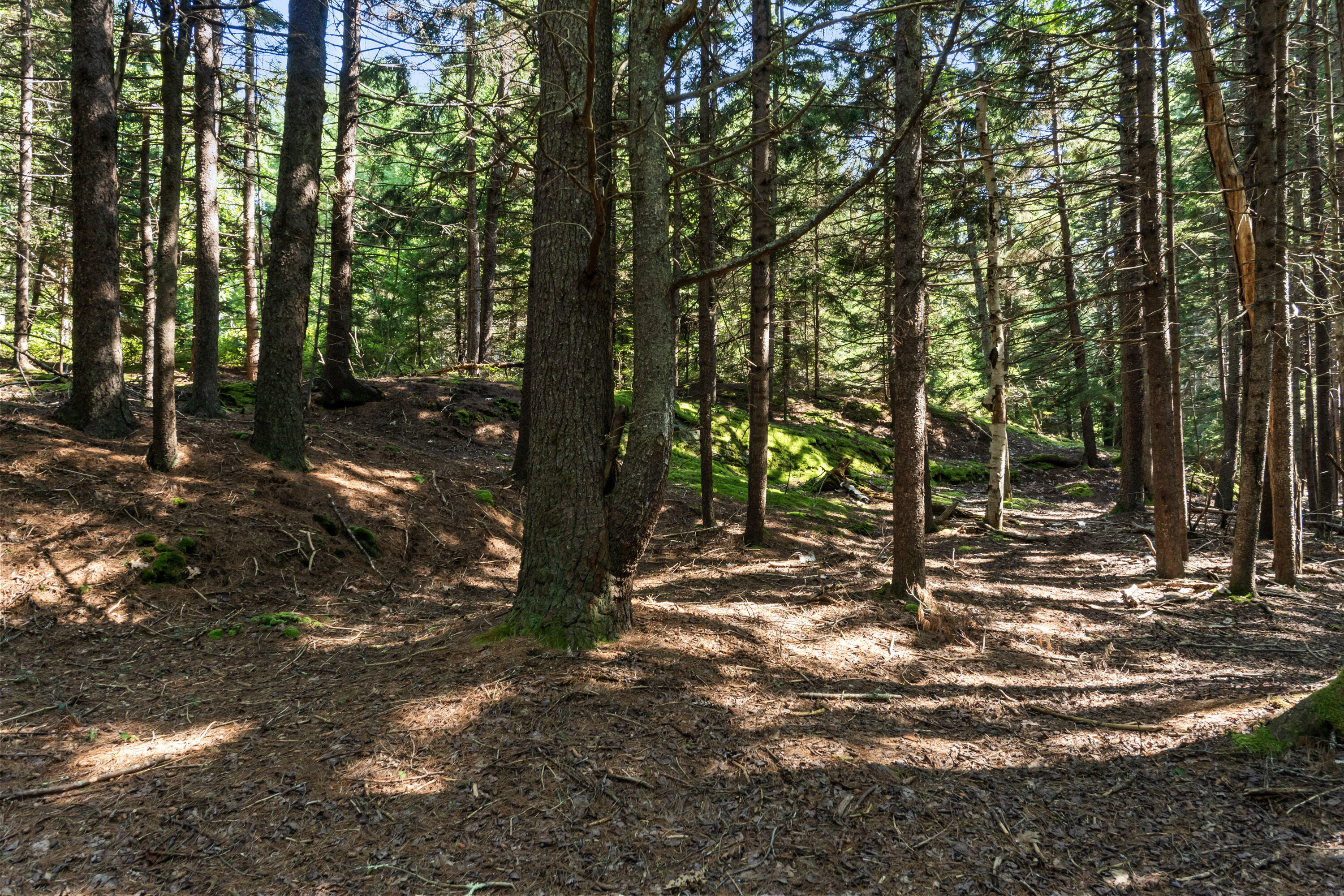 Lot 2b Allen Point Road Harpswell ME 04079