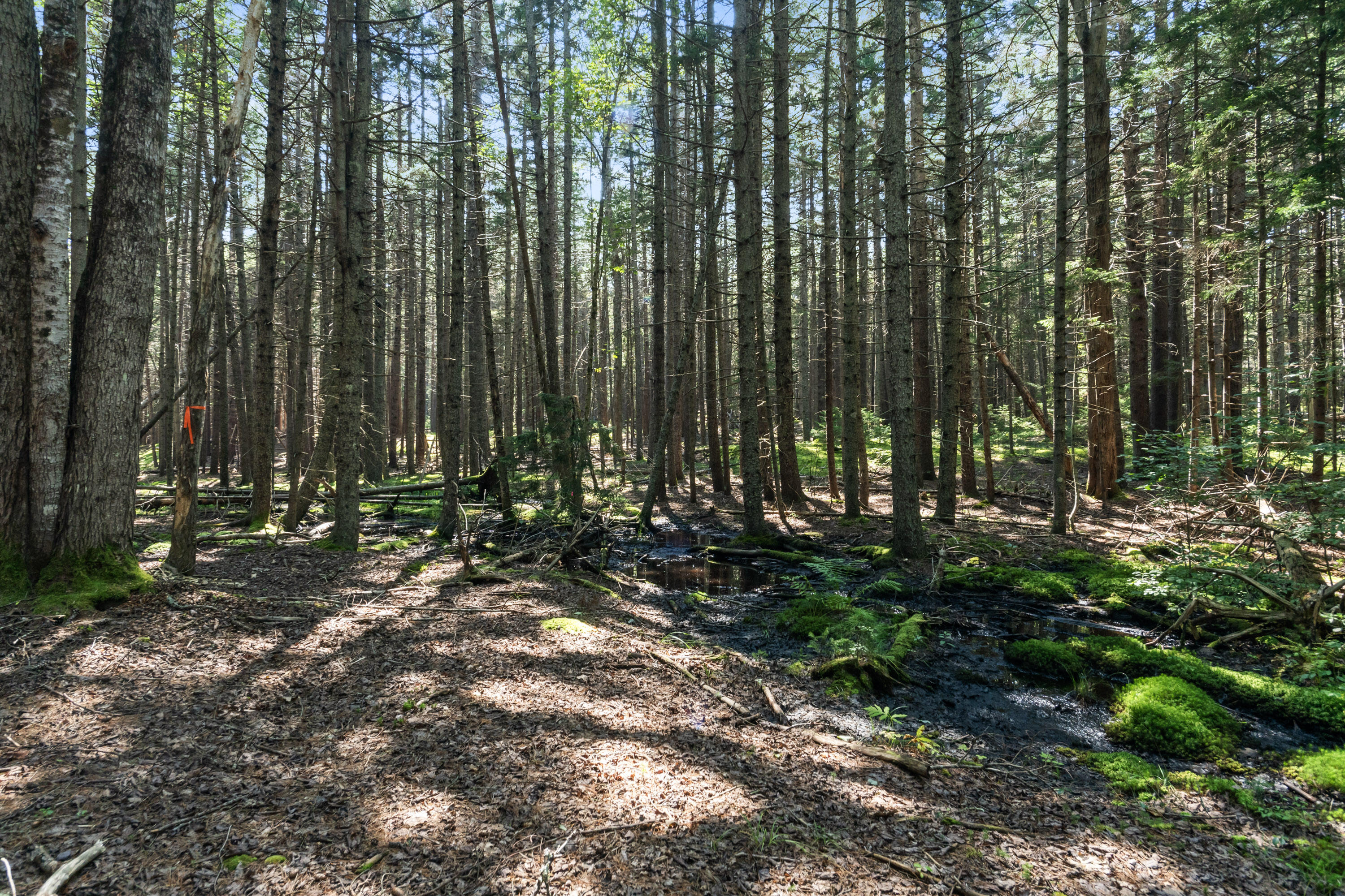 Lot 2b Allen Point Road Harpswell ME 04079