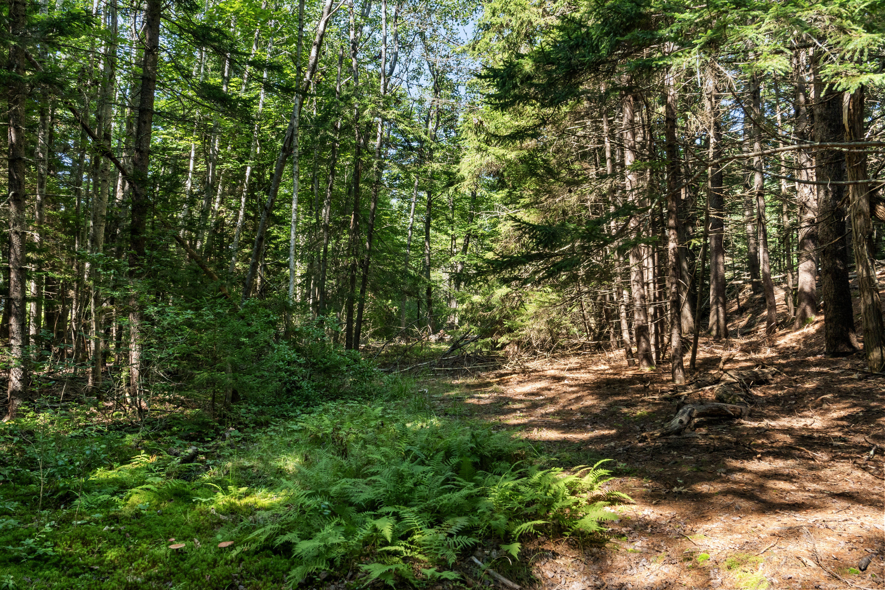 Lot 2b Allen Point Road Harpswell ME 04079