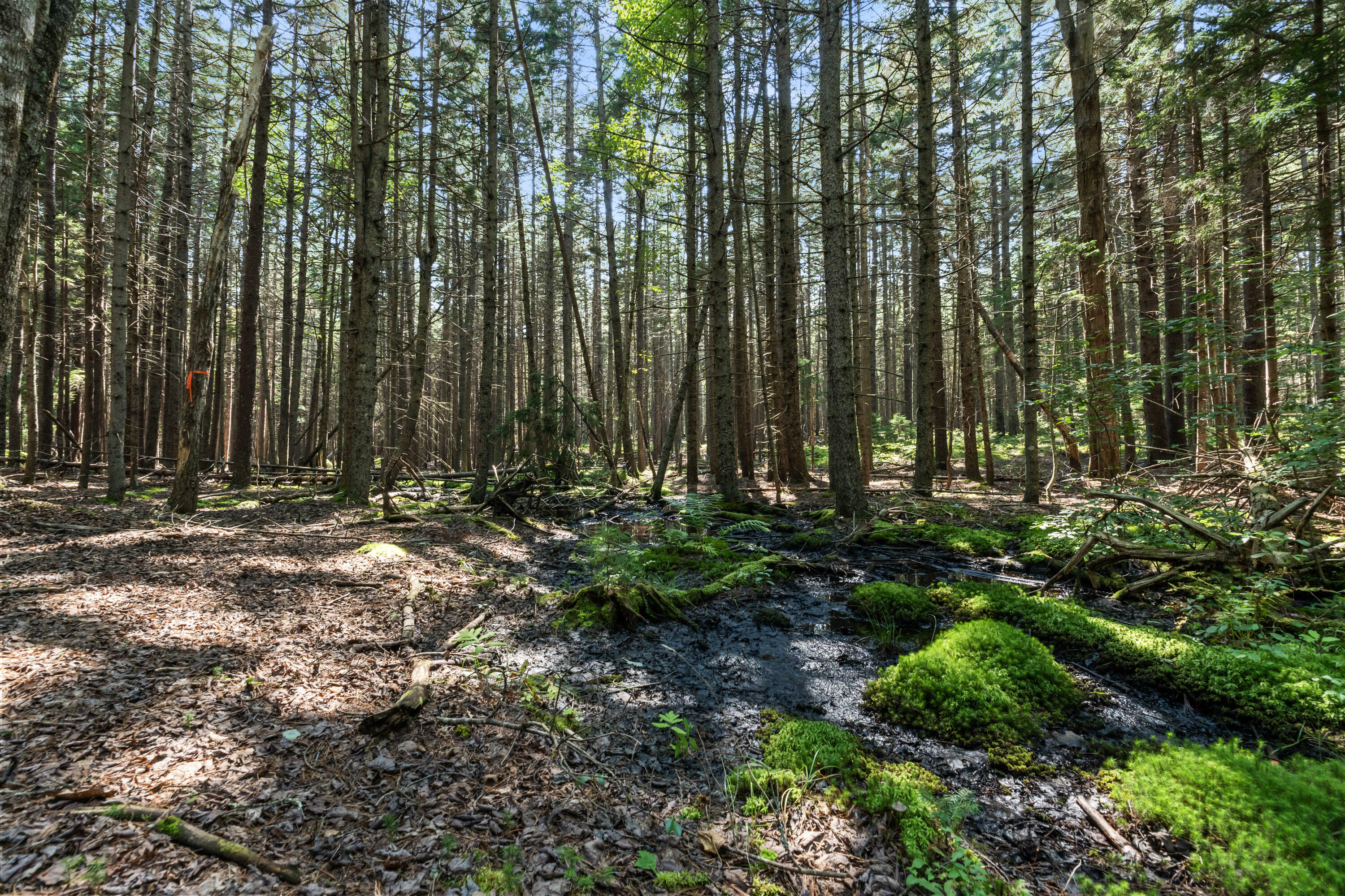 Lot 2b Allen Point Road Harpswell ME 04079