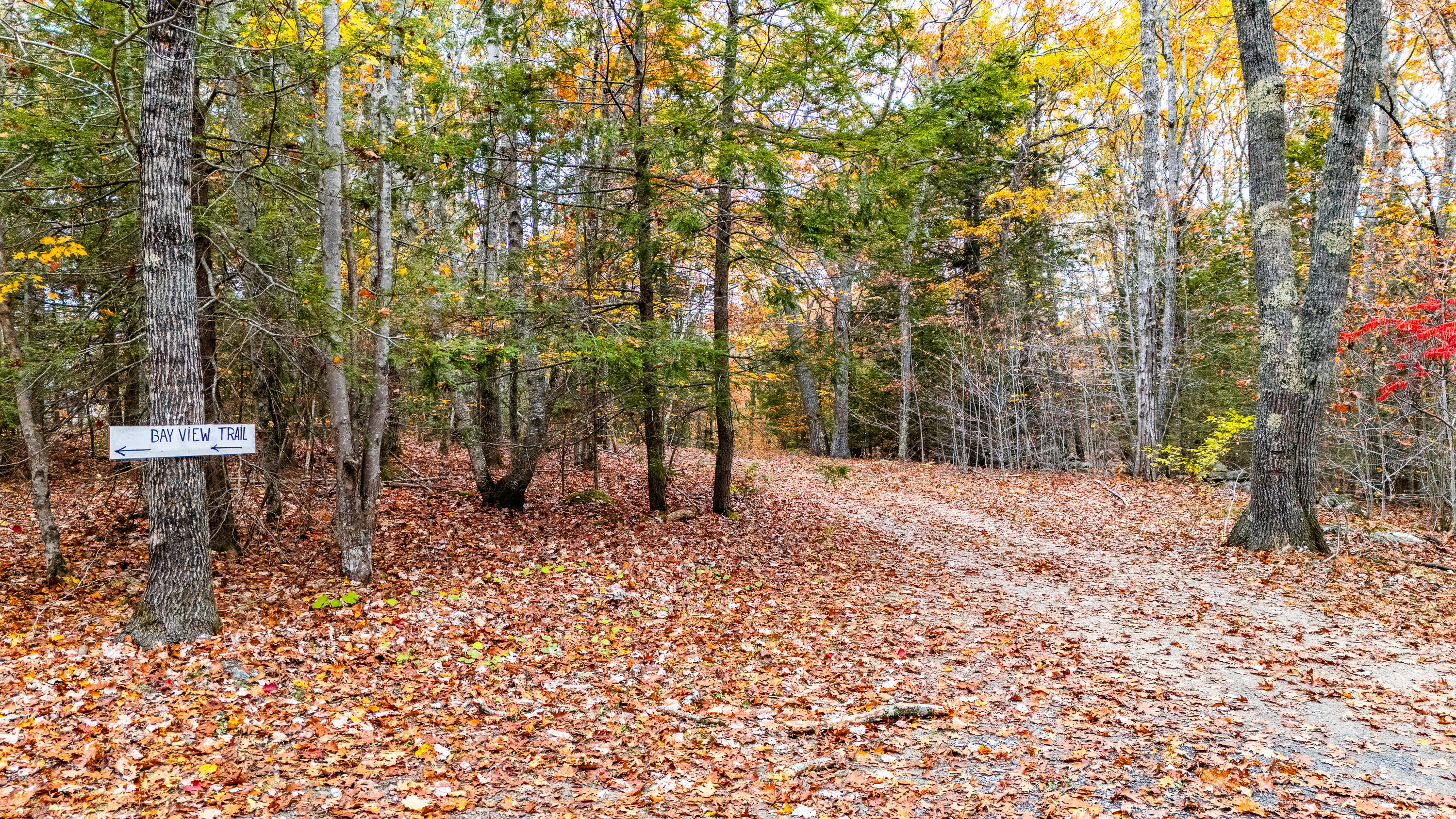 Lot #3 Bay View Trail Edgecomb ME 04556