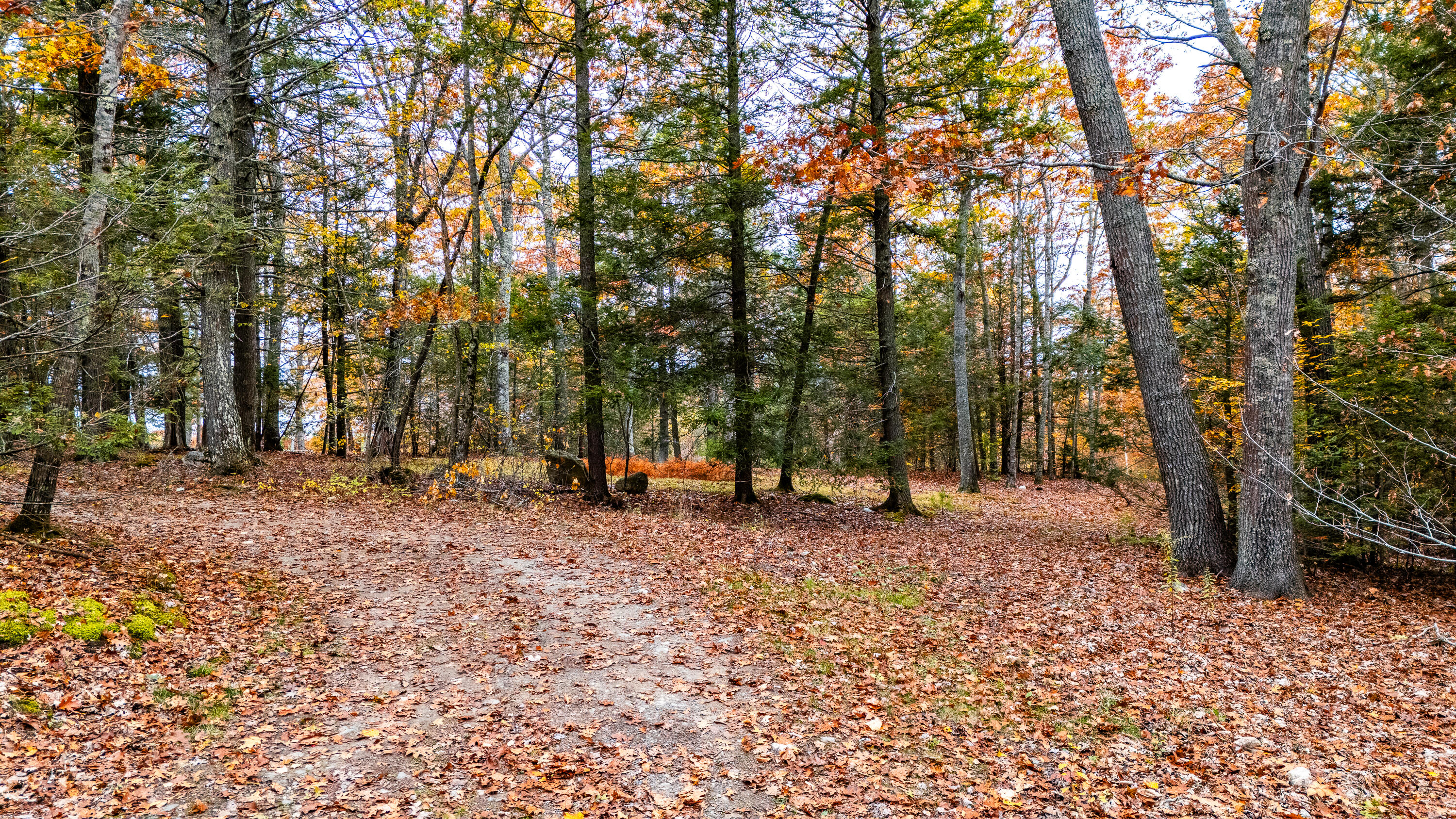 Lot #3 Bay View Trail Edgecomb ME 04556