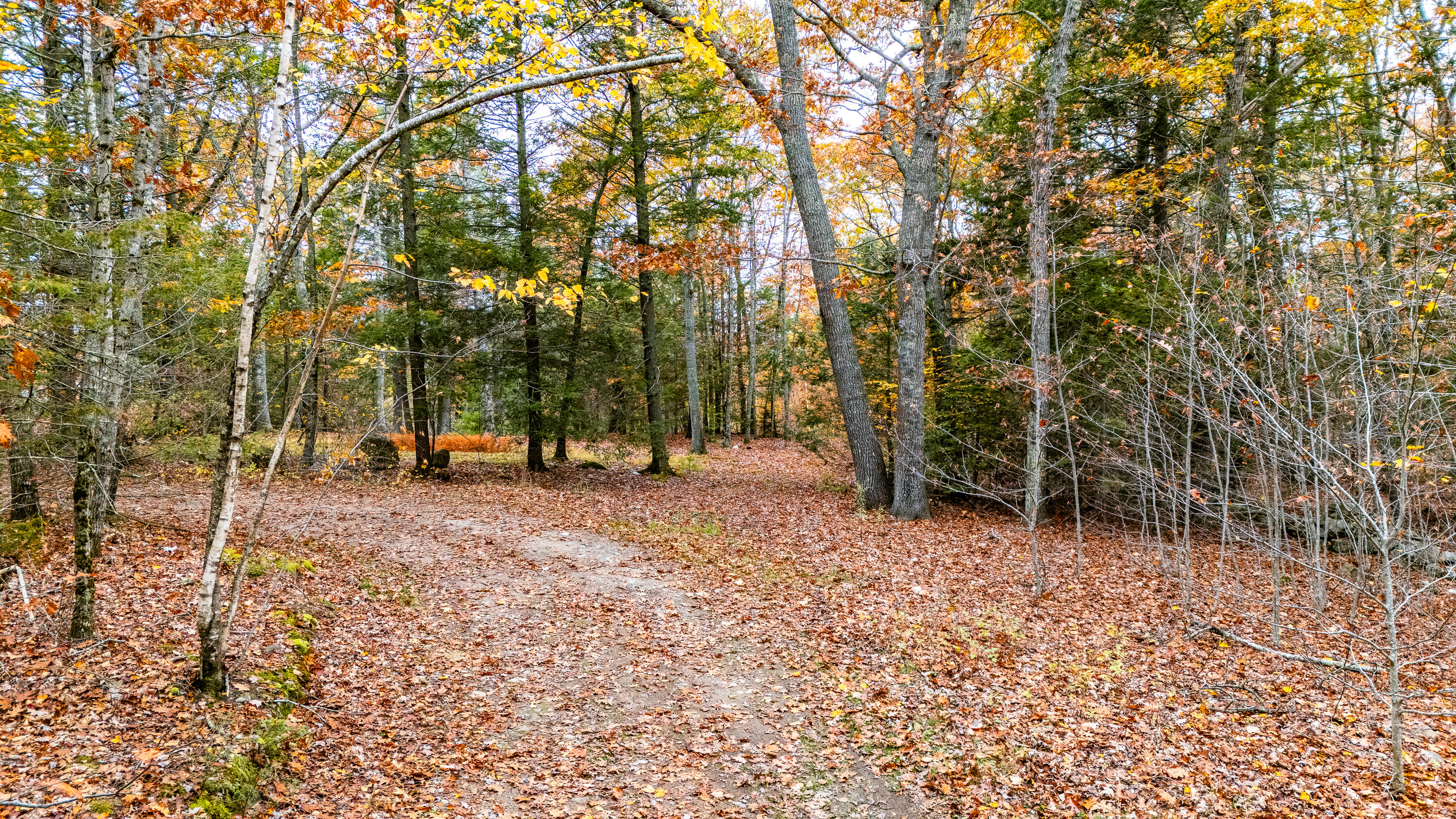 Lot #3 Bay View Trail Edgecomb ME 04556