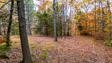 Lot #3 Bay View Trail Edgecomb ME 04556