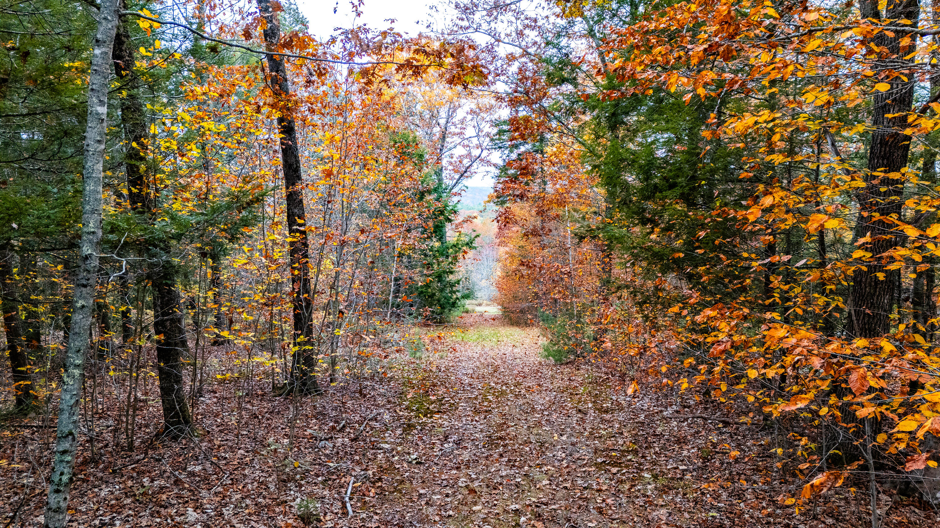 Lot #3 Bay View Trail Edgecomb ME 04556