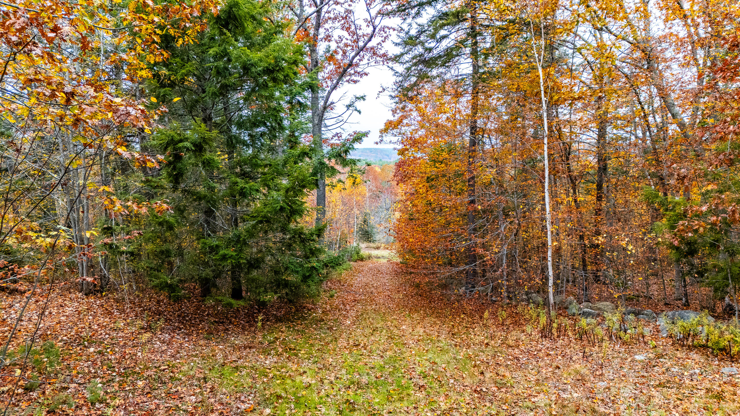 Lot #3 Bay View Trail Edgecomb ME 04556