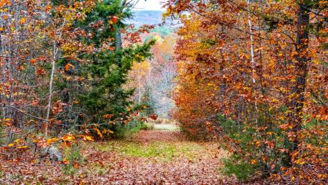 Lot #3 Bay View Trail Edgecomb ME 04556