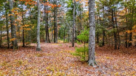 Lot #3 Bay View Trail Edgecomb ME 04556