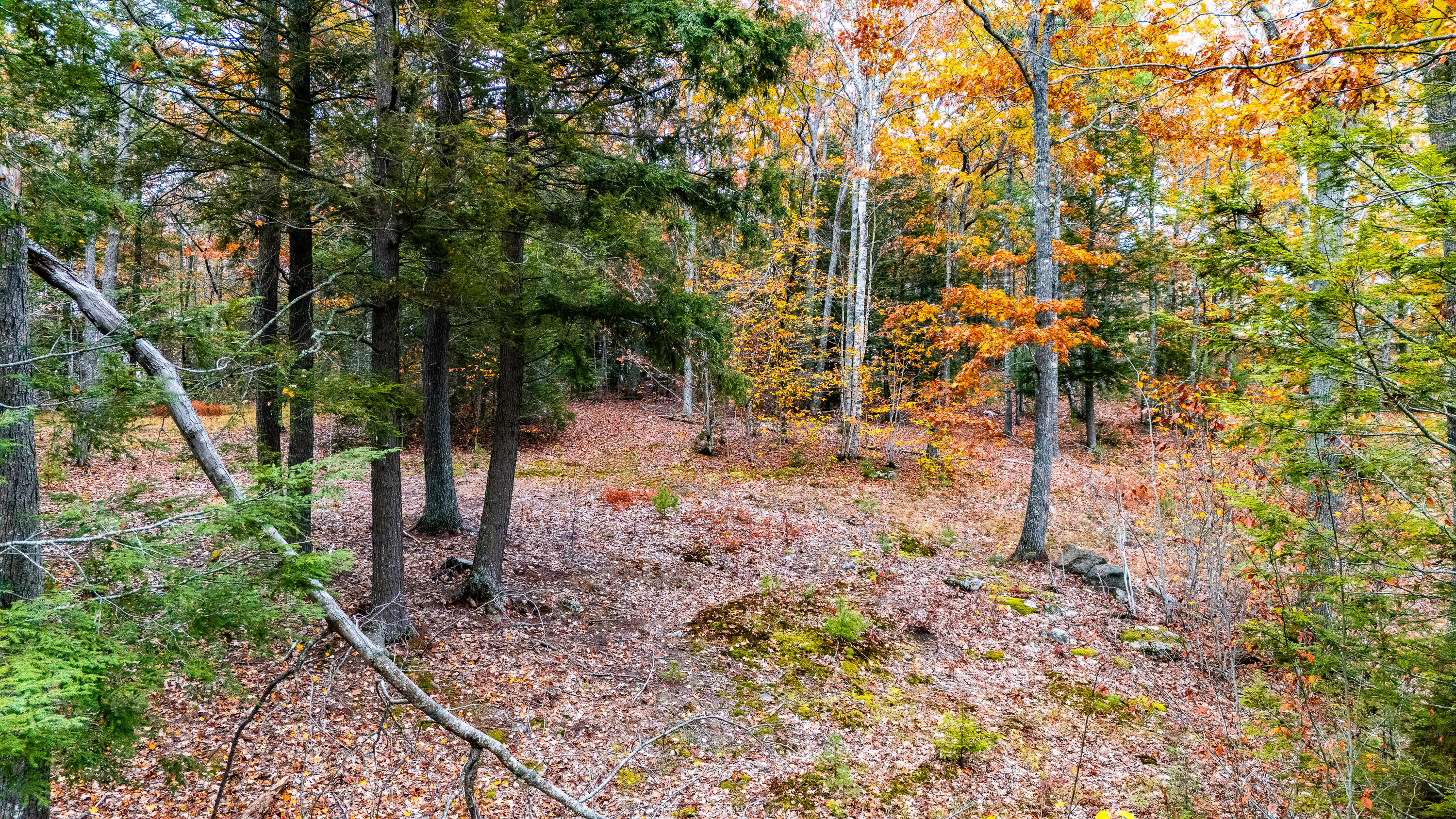 Lot #3 Bay View Trail Edgecomb ME 04556