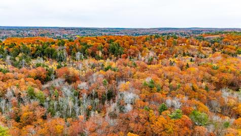 Lot #3 Bay View Trail Edgecomb ME 04556
