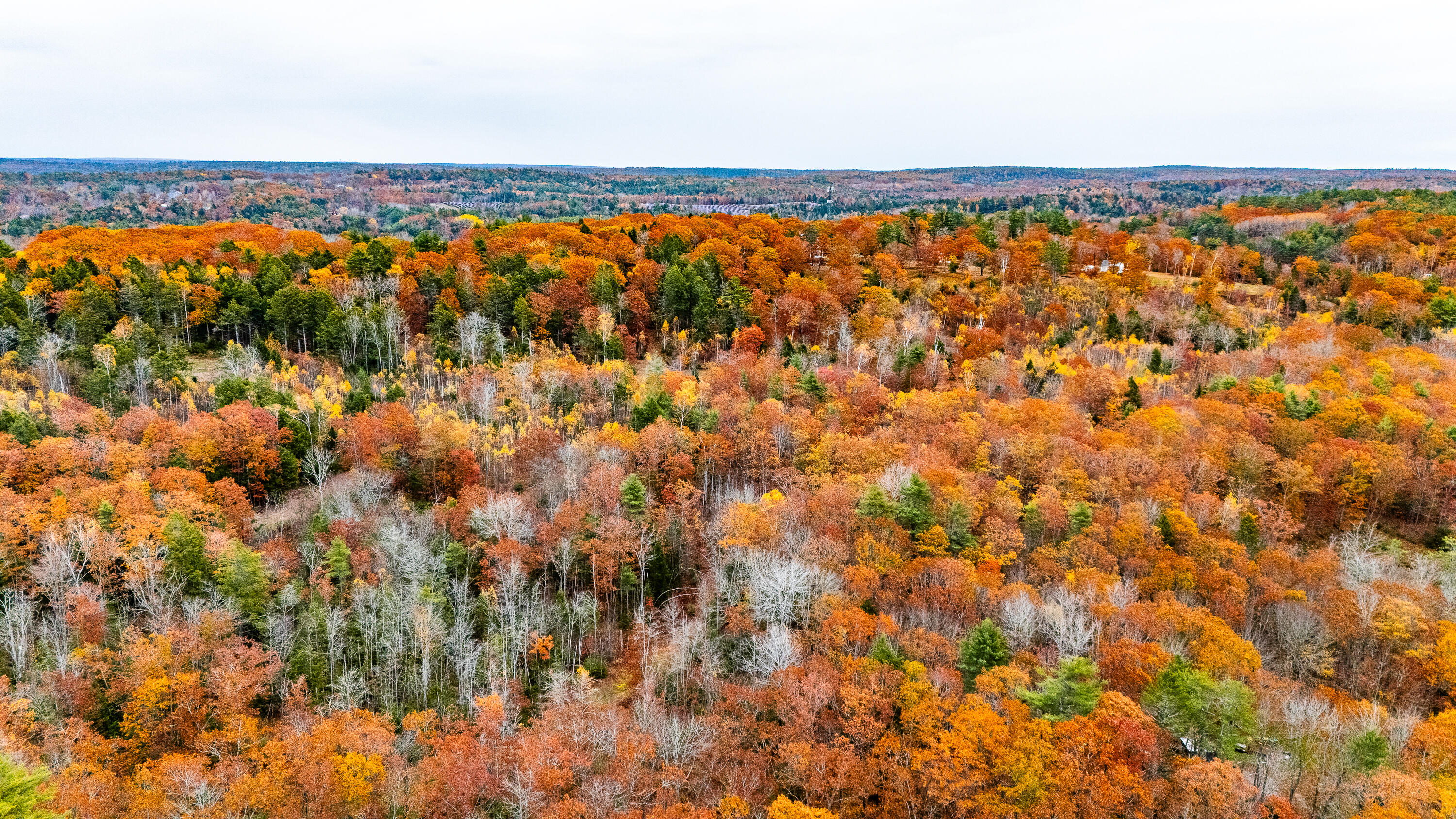 Lot #3 Bay View Trail Edgecomb ME 04556