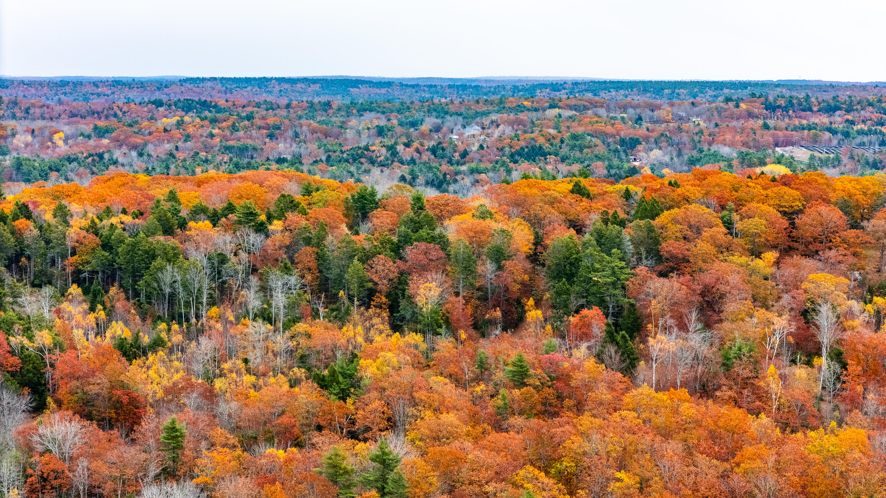 Lot #3 Bay View Trail Edgecomb ME 04556