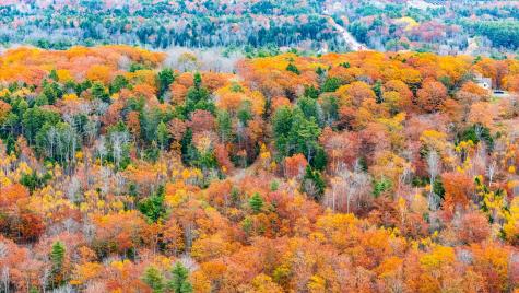 Lot #3 Bay View Trail Edgecomb ME 04556