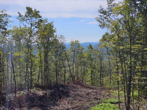 5-1 Garland & Nason Hill Roads Dixmont ME 04932