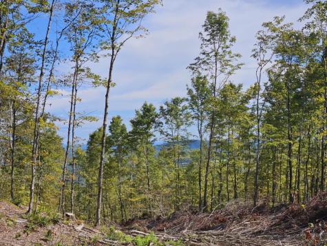 5-1 Garland & Nason Hill Roads Dixmont ME 04932