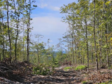 5-1 Garland & Nason Hill Roads Dixmont ME 04932