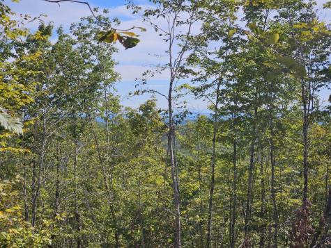 5-1 Garland & Nason Hill Roads Dixmont ME 04932