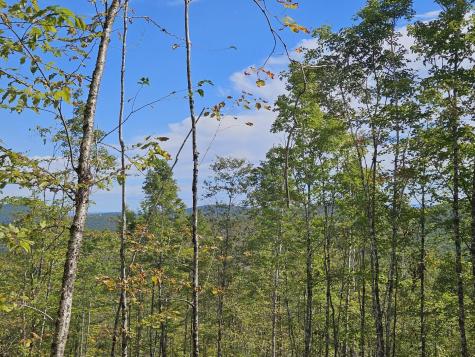 5-1 Garland & Nason Hill Roads Dixmont ME 04932