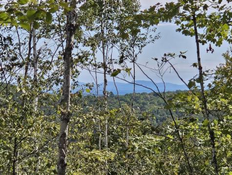 5-1 Garland & Nason Hill Roads Dixmont ME 04932