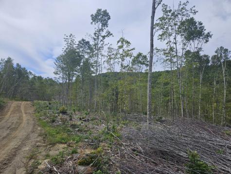 5-1 Garland & Nason Hill Roads Dixmont ME 04932