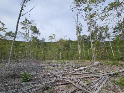 5-1 Garland & Nason Hill Roads Dixmont ME 04932