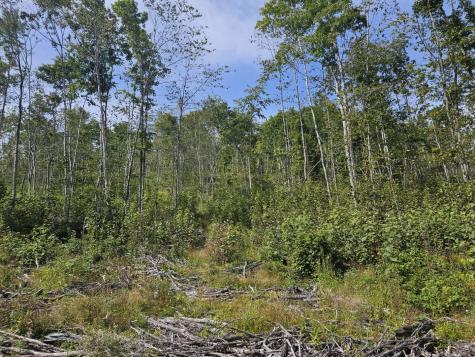 5-1 Garland & Nason Hill Roads Dixmont ME 04932