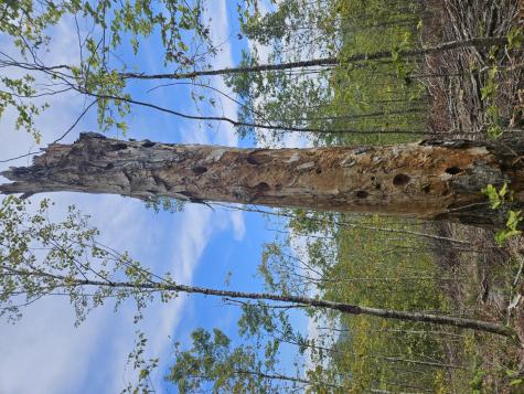 5-1 Garland & Nason Hill Roads Dixmont ME 04932