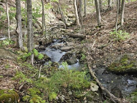 5-1 Garland & Nason Hill Roads Dixmont ME 04932