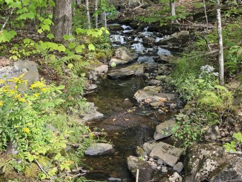 5-1 Garland & Nason Hill Roads Dixmont ME 04932