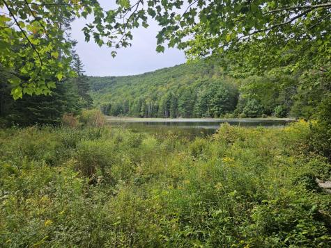 5-1 Garland & Nason Hill Roads Dixmont ME 04932