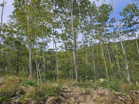 5-1 Garland & Nason Hill Roads Dixmont ME 04932