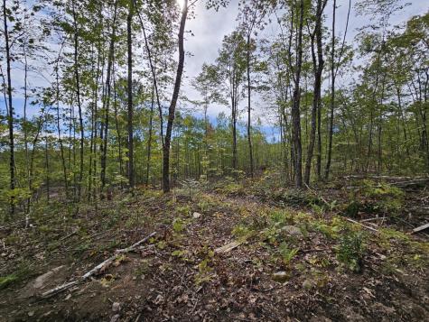 5-1 Garland & Nason Hill Roads Dixmont ME 04932