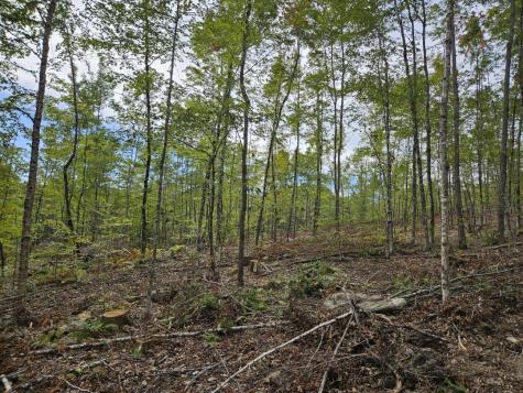 5-1 Garland & Nason Hill Roads Dixmont ME 04932