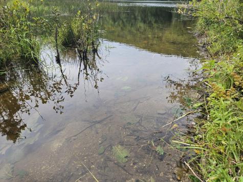 5-1 Garland & Nason Hill Roads Dixmont ME 04932