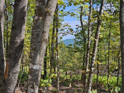 5-1 Garland & Nason Hill Roads Dixmont ME 04932