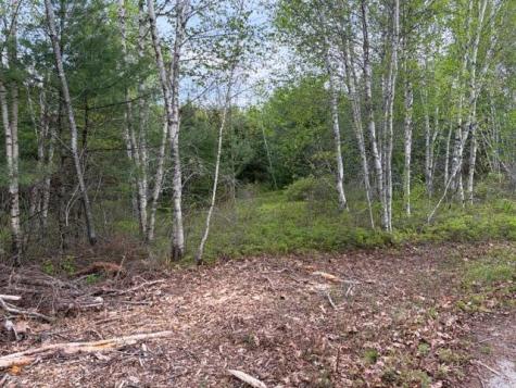Lot #8 Thayer Road Waltham ME 04605
