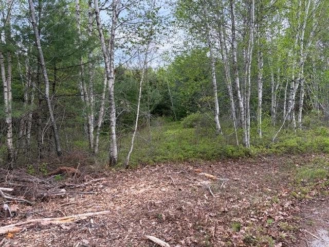 Lot #8 Thayer Road Waltham ME 04605