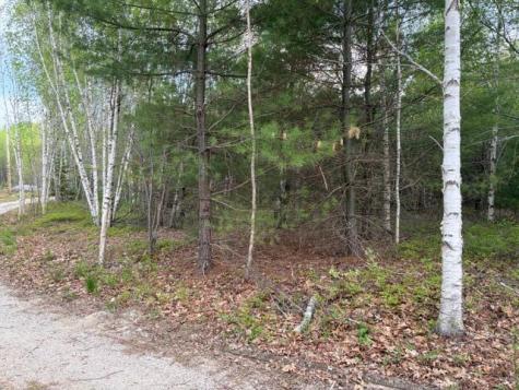 Lot #8 Thayer Road Waltham ME 04605