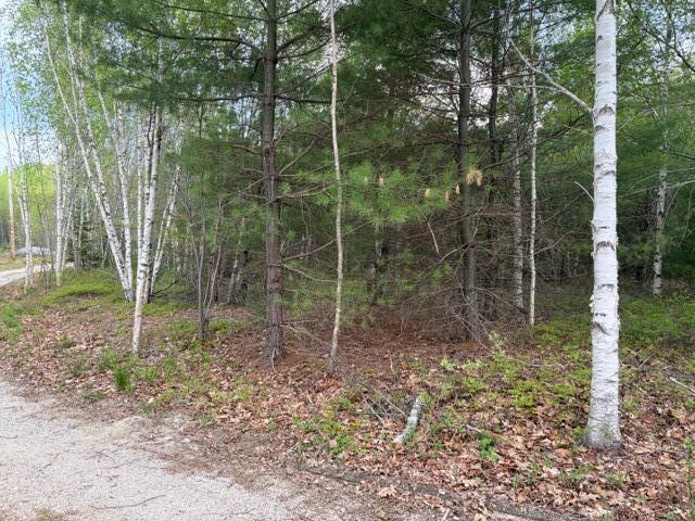 Lot #8 Thayer Road Waltham ME 04605