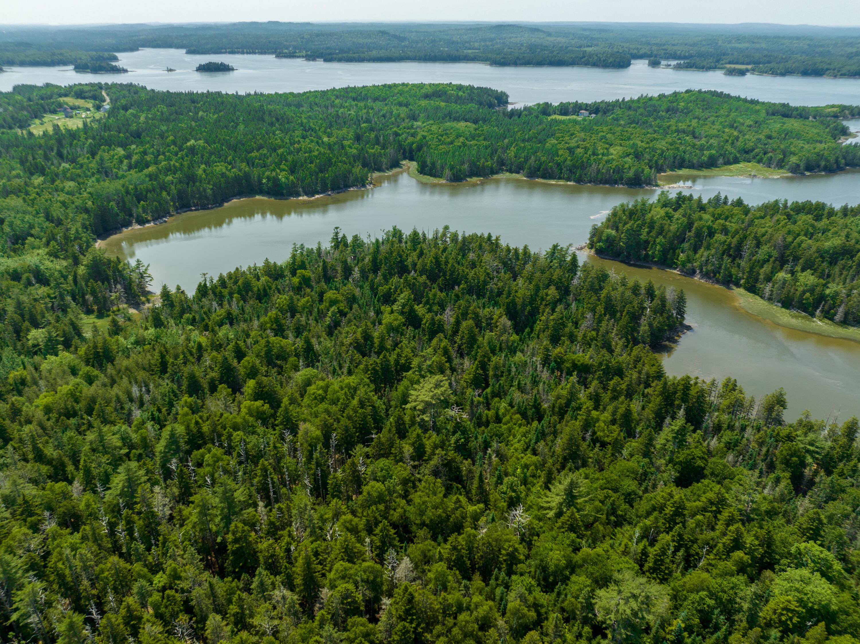 40.4 Timber Cove Road, Trescott Twp, ME 04652 | 1563587 | Realty of Maine