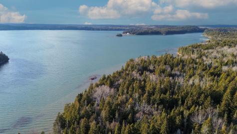 18 Collins Cove Road Machiasport ME 04655