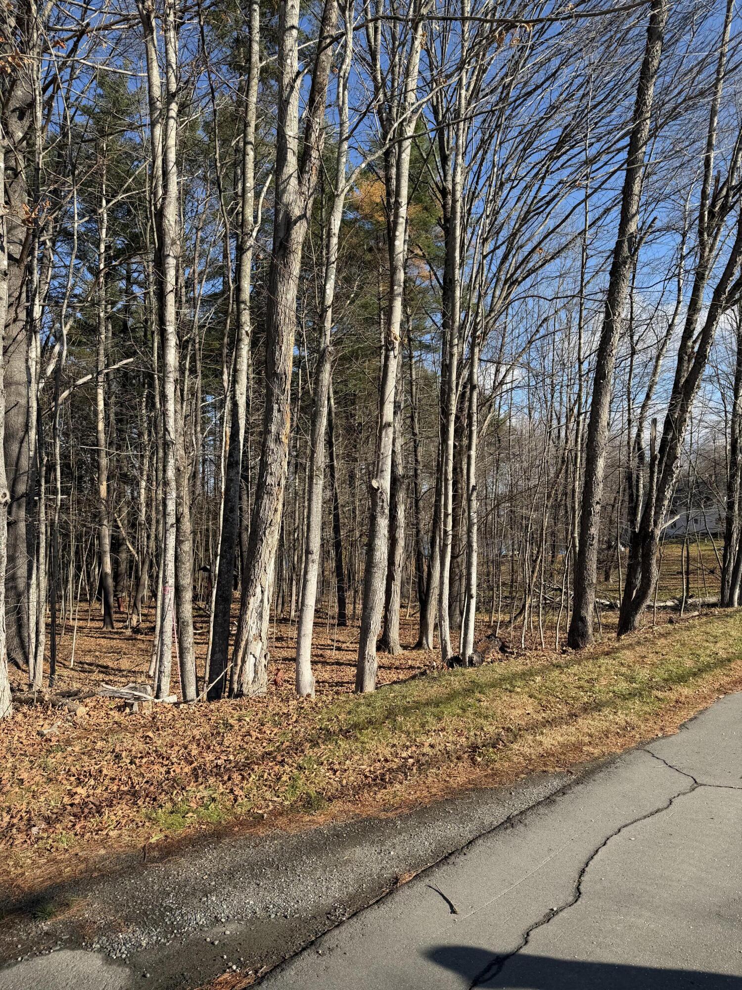 M39L26 Pine Street Dover-foxcroft ME 04426