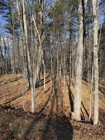 M39L26 Pine Street Dover-foxcroft ME 04426