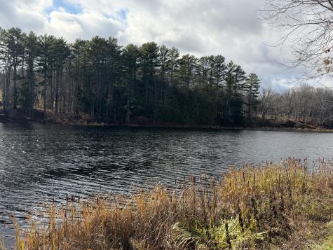 M39L26 Pine Street Dover-foxcroft ME 04426