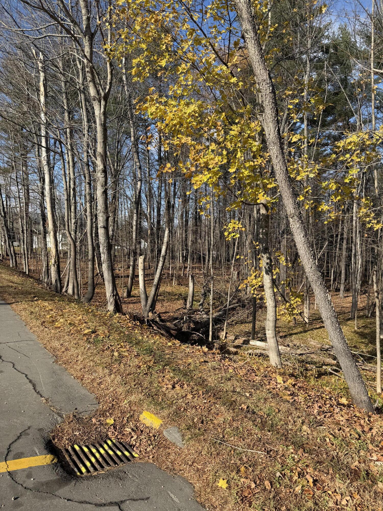 M39L26 Pine Street Dover-foxcroft ME 04426