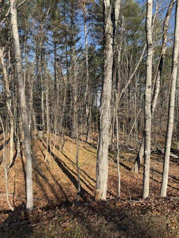 M39L26 Pine Street Dover-foxcroft ME 04426