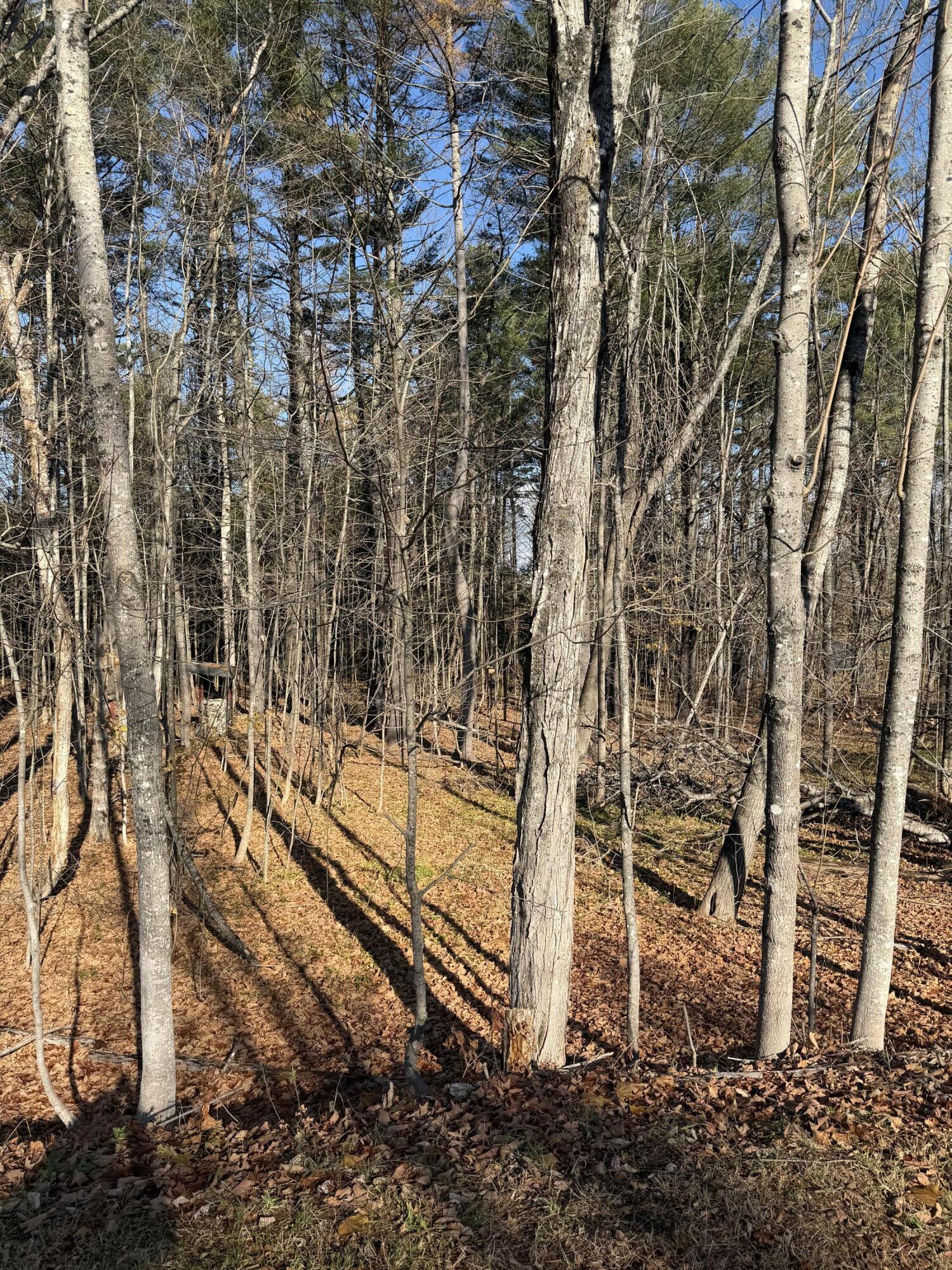 M39L26 Pine Street Dover-foxcroft ME 04426