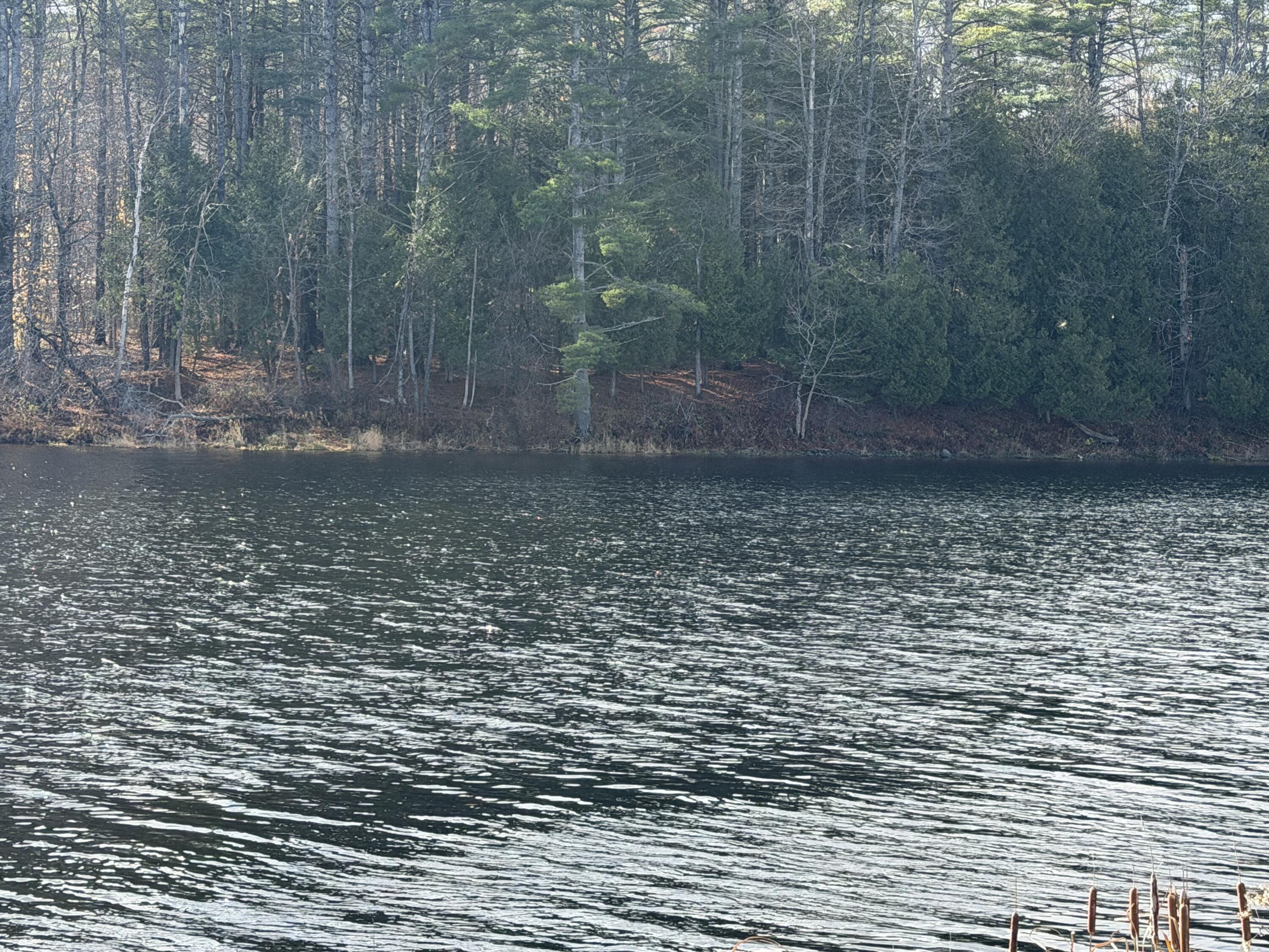 M39L26 Pine Street Dover-foxcroft ME 04426