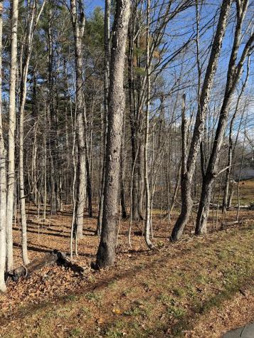 M39L26 Pine Street Dover-foxcroft ME 04426