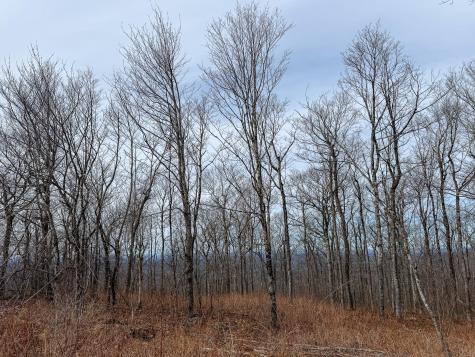 M1L22 Moosehead Trail Dixmont ME 04932